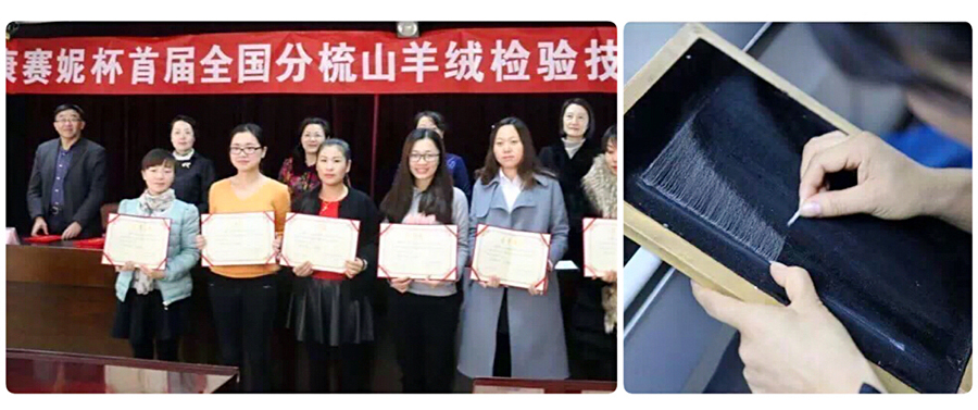 香港六台宝宝典资料大全