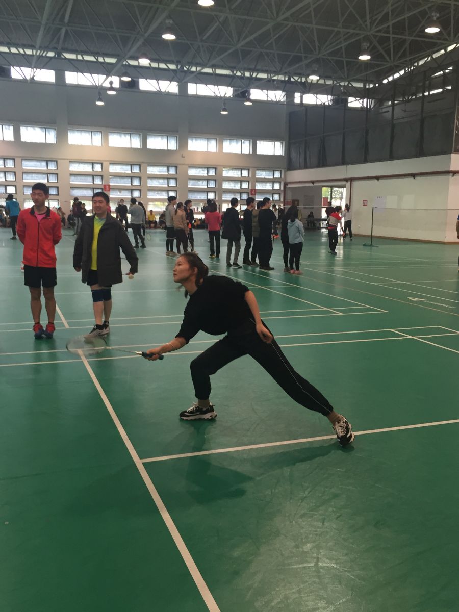 香港六台宝宝典资料大全